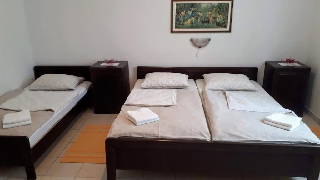 Apartmán Rovis *