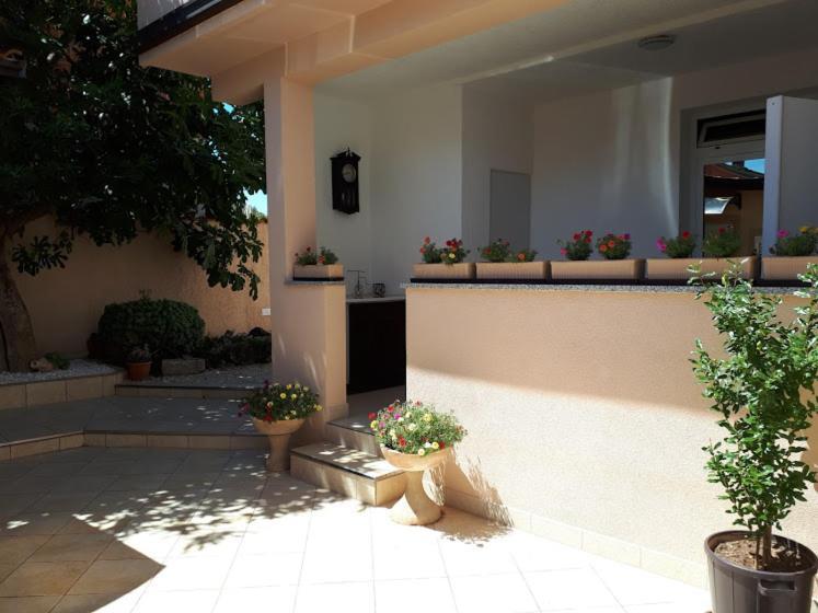 Rovis Apartmán Tar-Vabriga